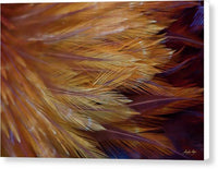 a close up view of a feathered animal's tail