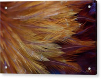 a close up view of feathers acrylic print on canvas