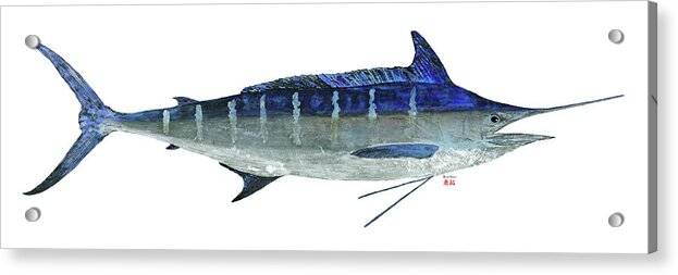 Blue Marlin 1 - Acrylic Print Acrylic Print 1ArtCollection