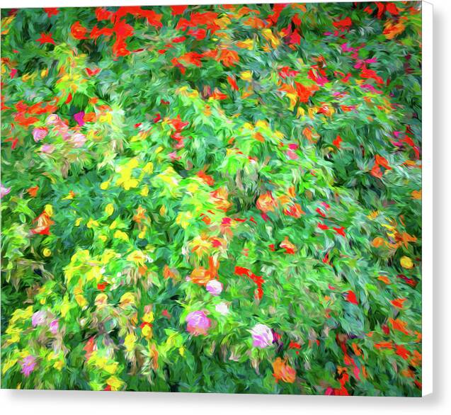 Colorful Garden Abstract 1 - Canvas Print