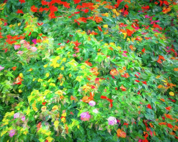 Colorful Garden Abstract 1 - Art Print