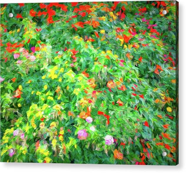 Colorful Garden Abstract 1 - Acrylic Print