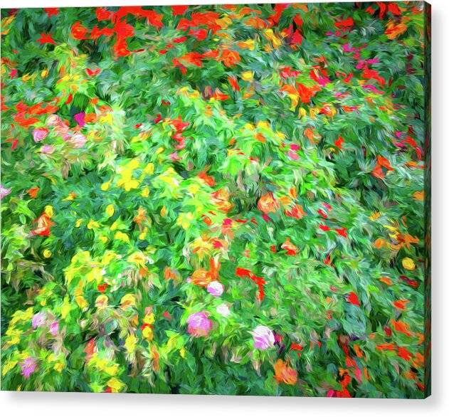 Colorful Garden Abstract 1 - Acrylic Print