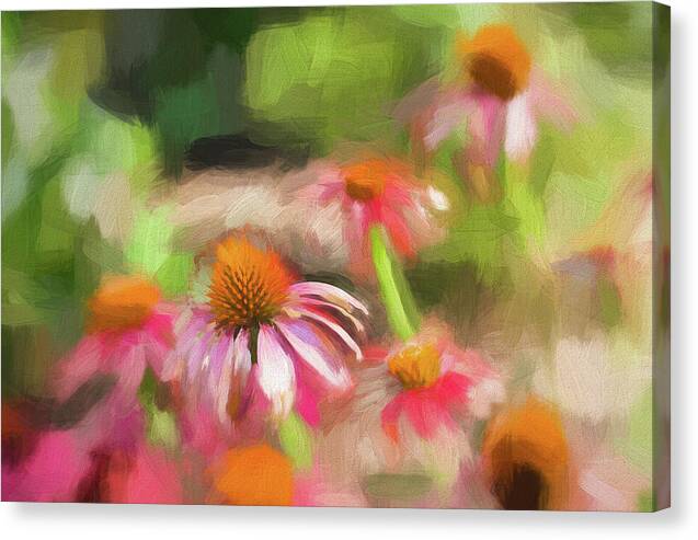 Coneflowers in the Garden 1 - Canvas Print