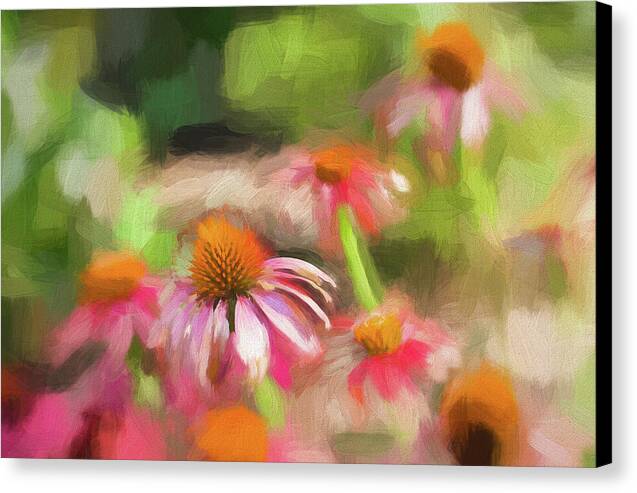 Coneflowers in the Garden 1 - Canvas Print