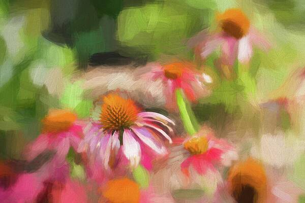 Coneflowers in the Garden 1 - Art Print