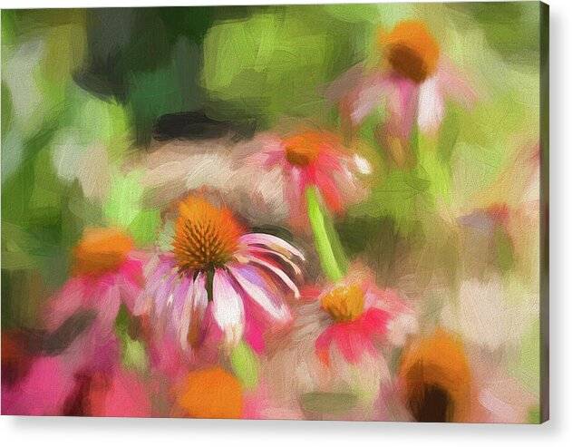 Coneflowers in the Garden 1 - Acrylic Print