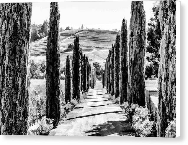 Country Road 1 - Canvas Print