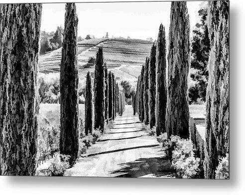 Country Road 1 - Metal Print