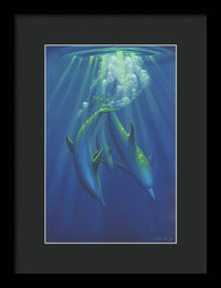 Dance of the Dolphins 2 - Acrylic Print Acrylic Print 1ArtCollection