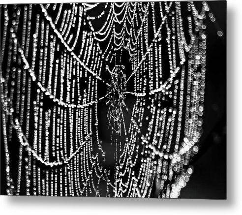 Dark Web 1 - Metal Print