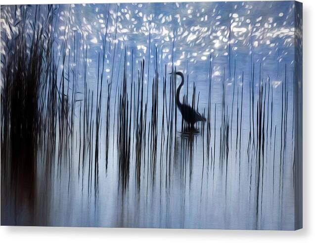 Egret Among The Reeds 1 - Canvas Print