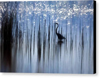 Egret Among The Reeds 1 - Canvas Print