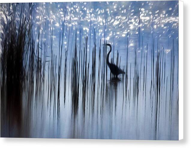 Egret Among The Reeds 1 - Canvas Print