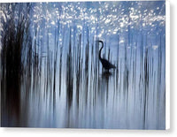 Egret Among The Reeds 1 - Canvas Print