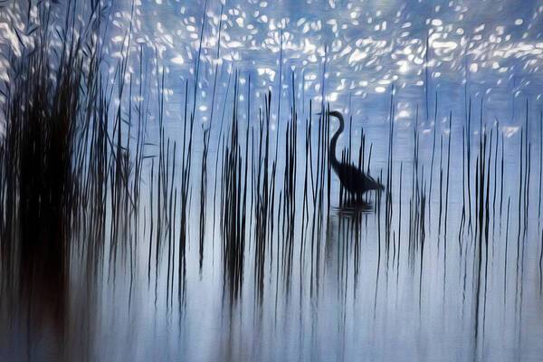 Egret Among The Reeds 1 - Art Print