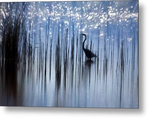 Egret Among The Reeds 1 - Metal Print