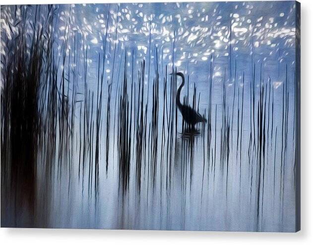 Egret Among The Reeds 1 - Acrylic Print