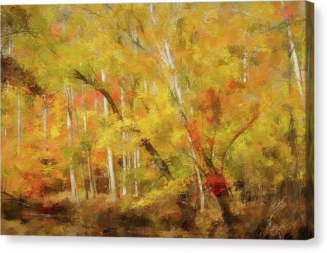 Fall Color 1 - Canvas Print