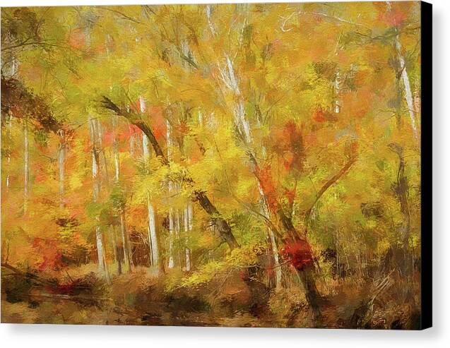 Fall Color 1 - Canvas Print