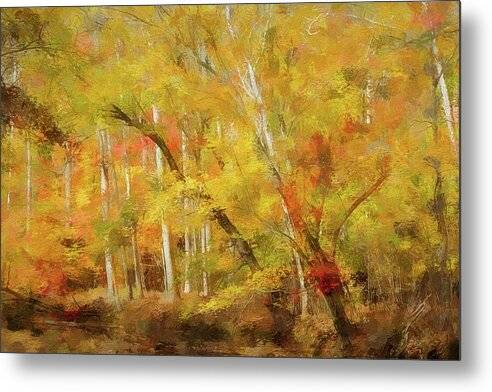 Fall Color 1 - Metal Print