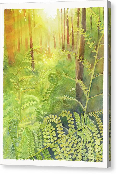 Fern Forest 1 - Canvas Print Canvas Print 1ArtCollection