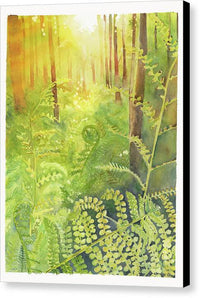 Fern Forest 1 - Canvas Print Canvas Print 1ArtCollection