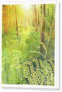 Fern Forest 1 - Canvas Print Canvas Print 1ArtCollection