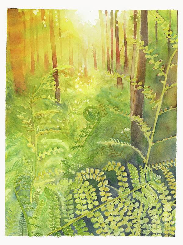 Fern Forest 1 - Art Print Art Print 1ArtCollection