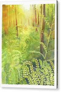 Fern Forest 1 - Acrylic Print Acrylic Print 1ArtCollection