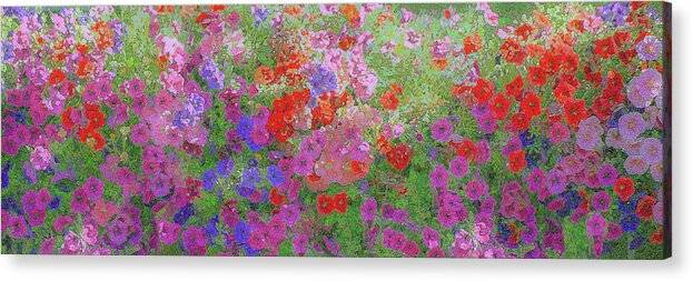 Flower Vail Panorama 1 - Acrylic Print