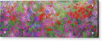 Flower Vail Panorama 1 - Acrylic Print