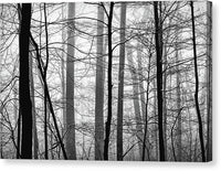 Foggy Winter Forest 1 - Canvas Print