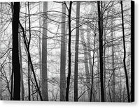 Foggy Winter Forest 1 - Canvas Print