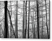 Foggy Winter Forest 1 - Acrylic Print