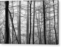 Foggy Winter Forest 1 - Acrylic Print