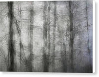 Foggy Winter Woods 1 - Canvas Print