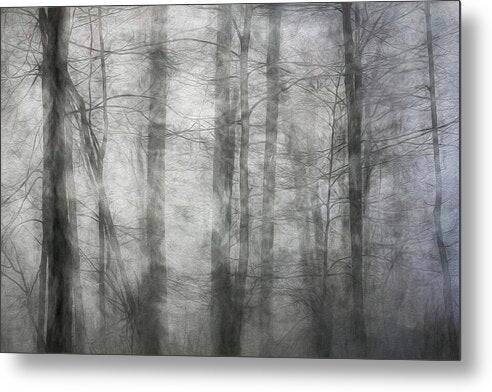 Foggy Winter Woods 1 - Metal Print