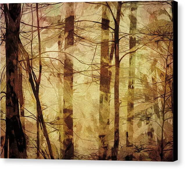 Forest Abstract 1 - Canvas Print