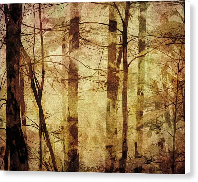 Forest Abstract 1 - Canvas Print