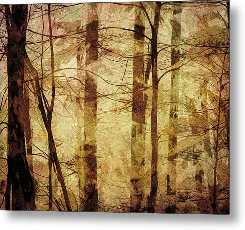 Forest Abstract 1 - Metal Print