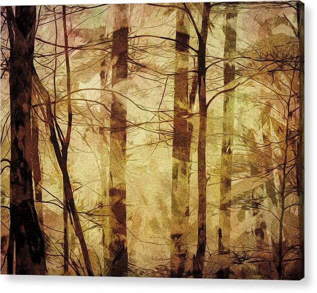 Forest Abstract 1 - Acrylic Print