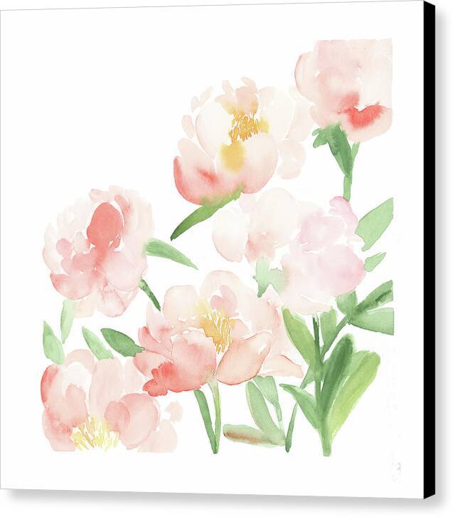 Gentle Peonies 1 - Canvas Print Canvas Print 1ArtCollection