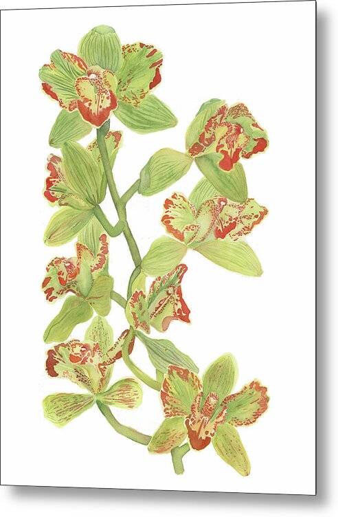 Green boat Orchids 1 - Metal Print Metal Print 1ArtCollection