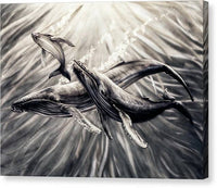 Humpback Harmony 1 - Canvas Print Canvas Print 1ArtCollection