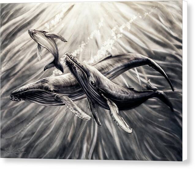 Humpback Harmony 1 - Canvas Print Canvas Print 1ArtCollection