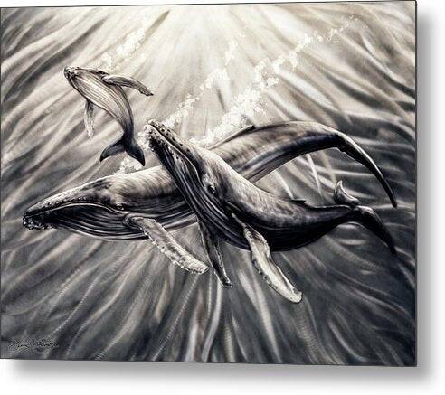 Humpback Harmony 1 - Metal Print Metal Print 1ArtCollection