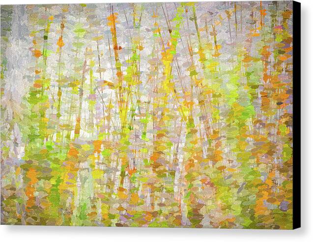 In The Reeds 1 - Canvas Print