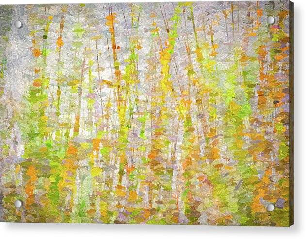 In The Reeds 1 - Acrylic Print