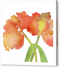 Iris 01 1 - canvas Print 1artcollection